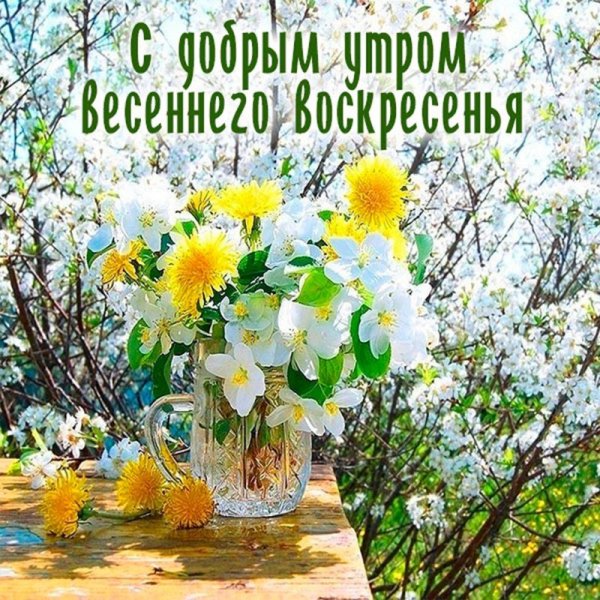 Доброго весеннего утра и хорошего настроения