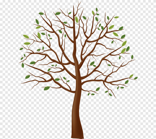 Дерево без листвы