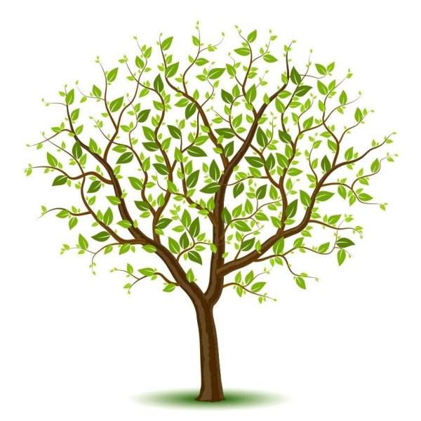 Деревья весной для детей