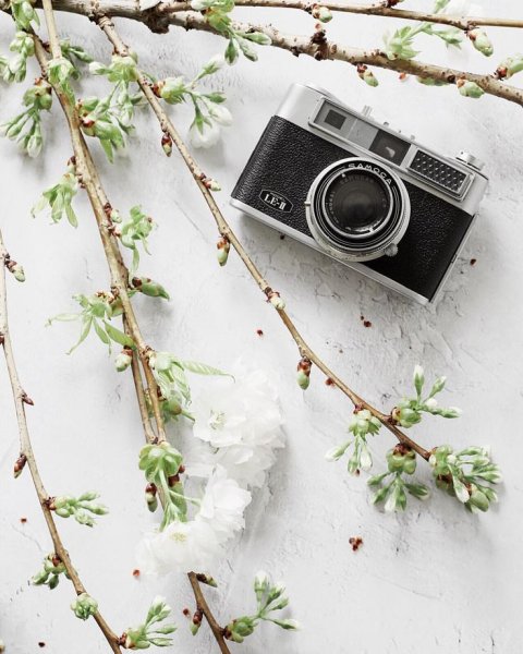 Вдохновение фотоаппарат