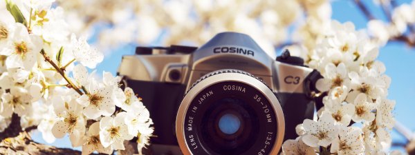 Букет цветов и фотоаппарат