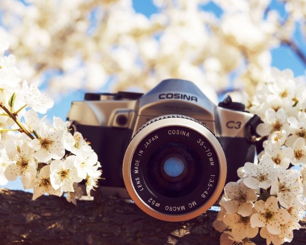 Фотоаппарат на природе