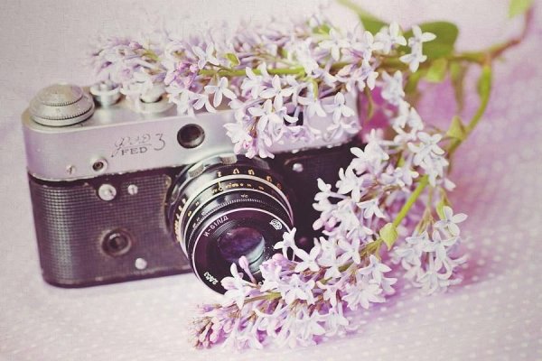 Объектив фотоаппарата