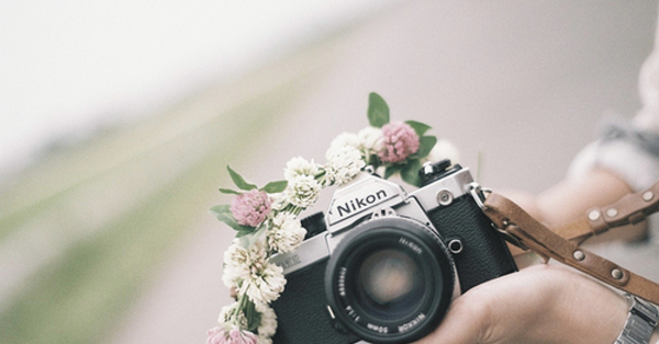 Фотокамера и цветы