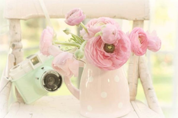 Ребенок фотографирует