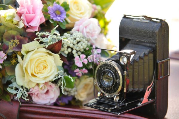 Фотоаппарат в цветах
