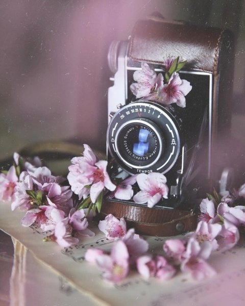 Красивый фотоаппарат