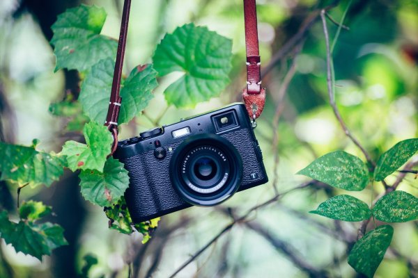 Фотоаппарат на Поляне