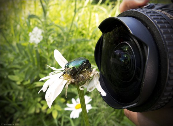 Фотоаппарат для детей