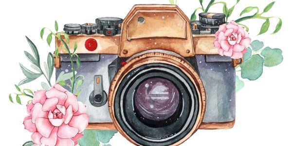 Дети фотографируют природу