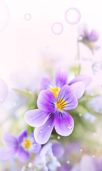 Цветы вертикальные