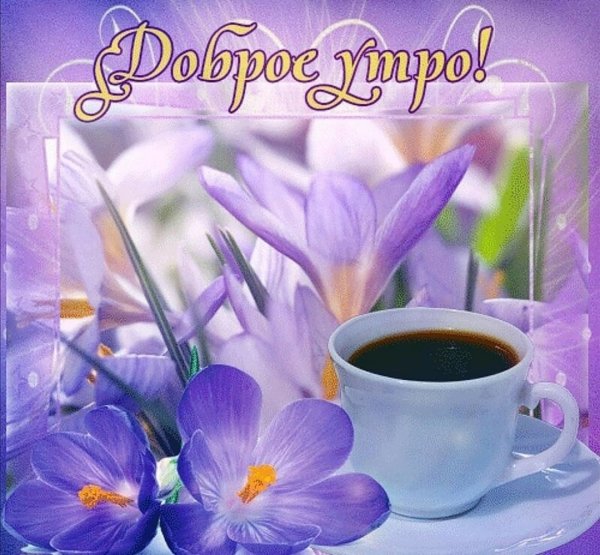 Весеннего утра и хорошего дня