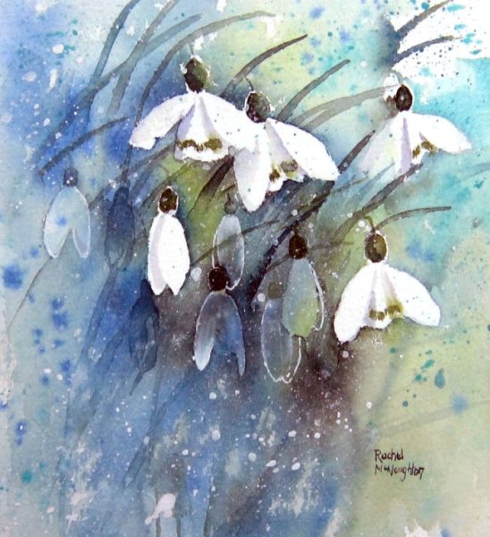 Акварель цветы Рэйчел МАКНОТОН