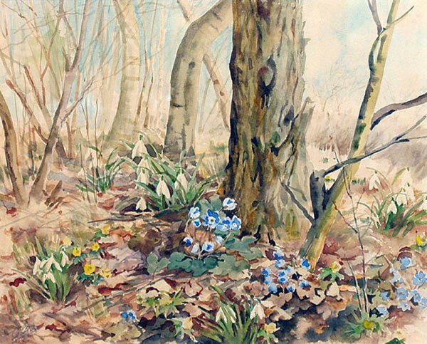 Ольга Александровна Романова подснежники