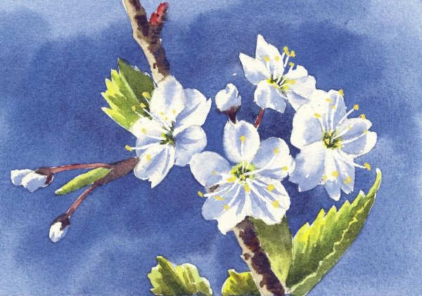 Как нарисовать весну