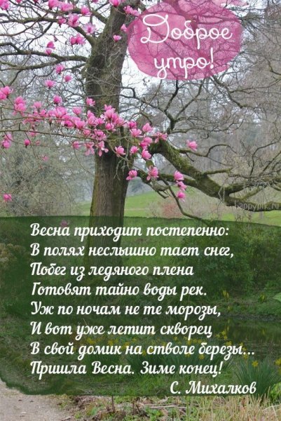 Красивые высказывания о весне