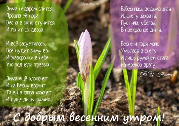 С добрым весенним утром стихи