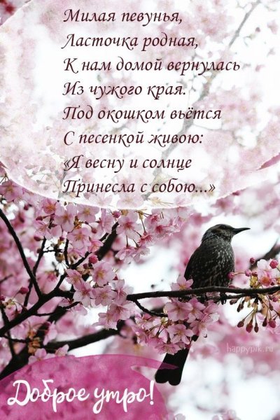 Красивые стихи о добром утре