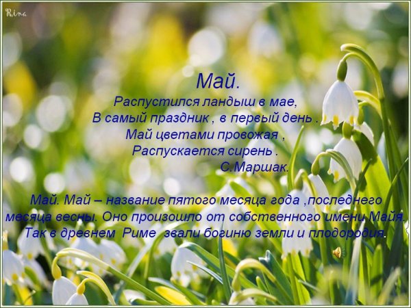 Стихи про май