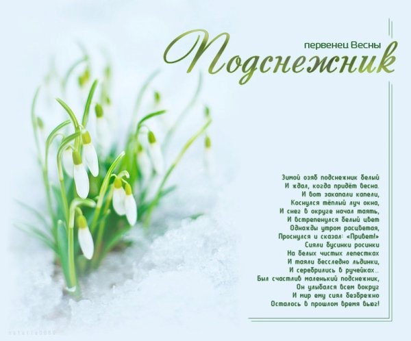 Стихотворение про Подснежник