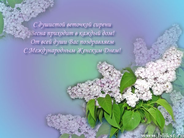 Весна сирень стихи