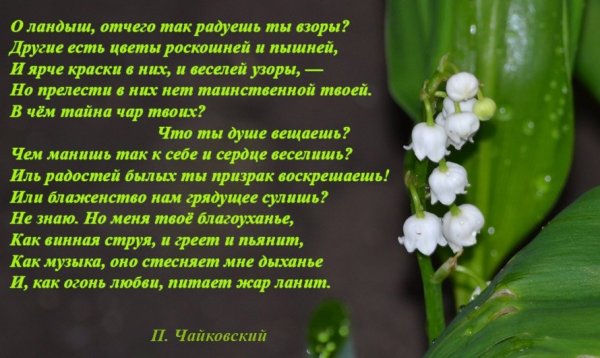 Весеннее стихотворение