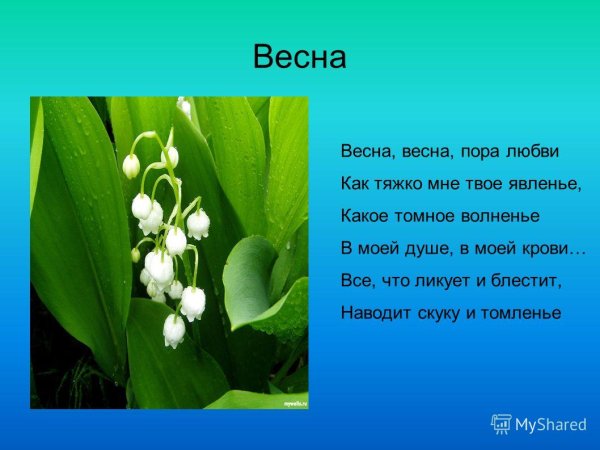 Стихи о весне для детей