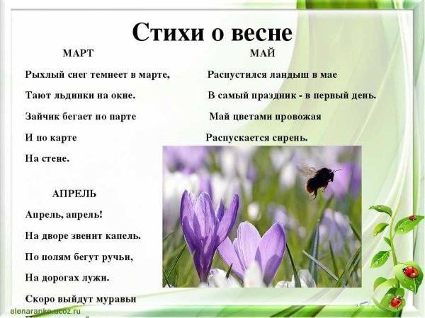 Красивые высказывания о весне