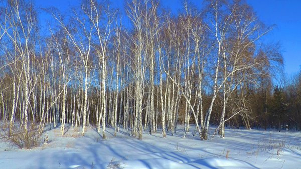 Русская природа ранней весной