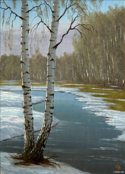 Береза ранней весной