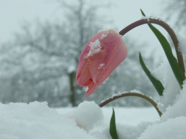 Зима река солнце