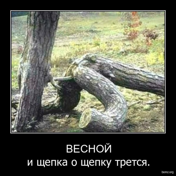 Щепка на щепку лезет