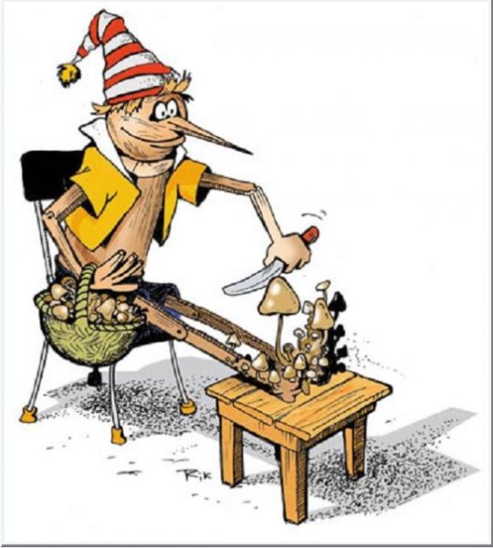 Прикольный Буратино