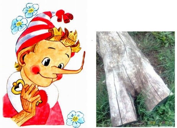 Нос "Буратино"