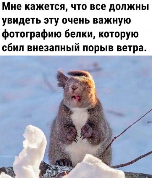 Весна ты где