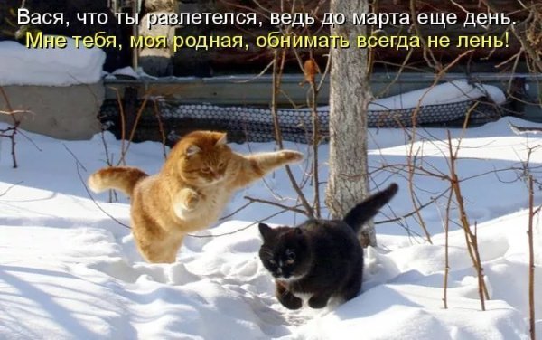 Приколы про снег