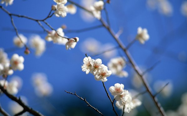 Март природа