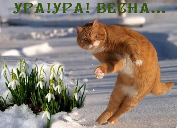 Весенние приветики