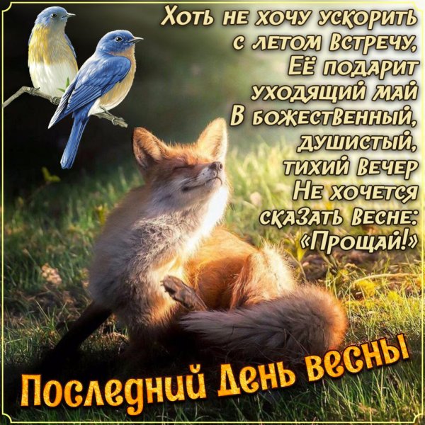 Открытки с первым днем весны