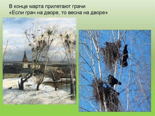 Первые вестники весны