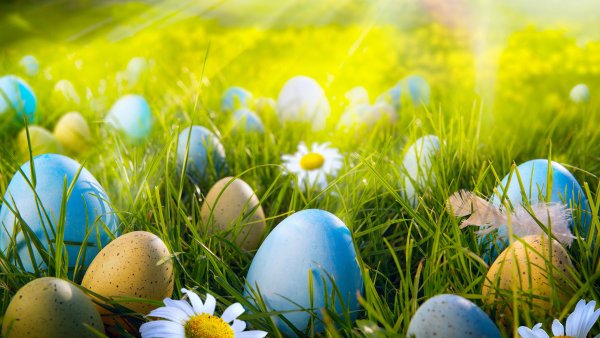 Пасхальные птички