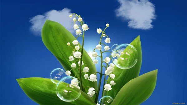 Очень красивая Весна