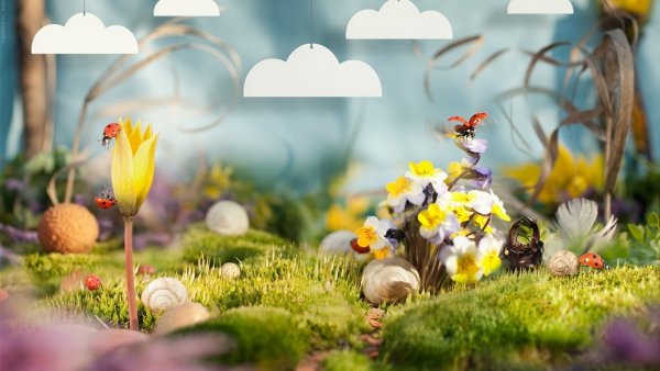 Крокусы тюльпаны подснежники