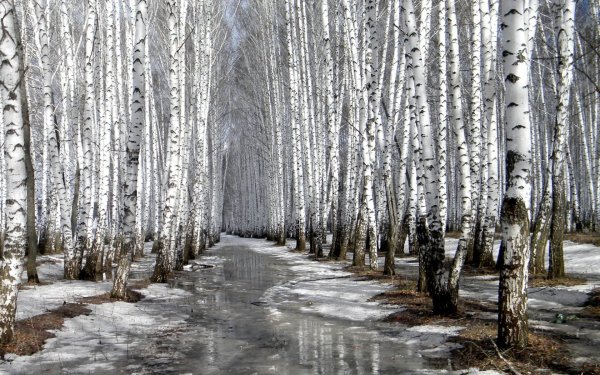 Ранняя Весна