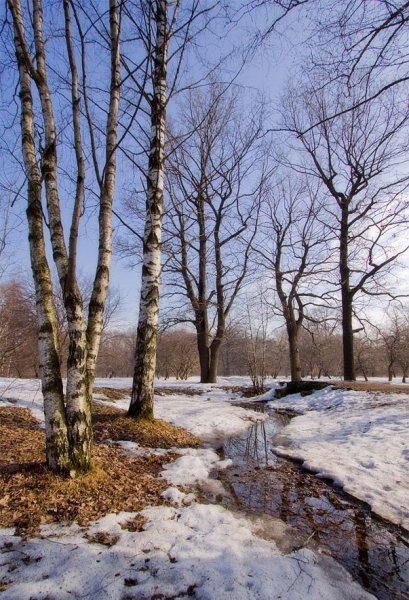 Река (ранняя Весна) Исаак