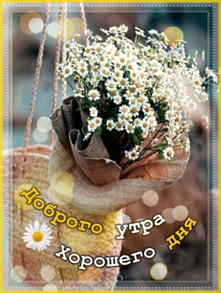 Доброе утро Зайка