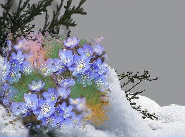 Вот и Весна