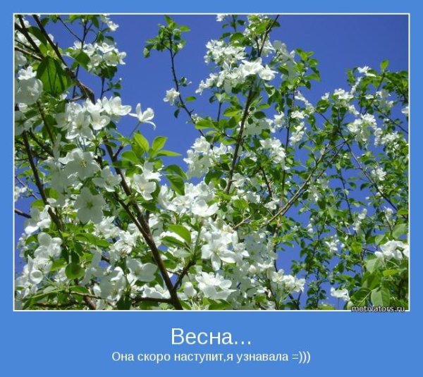 Весна холодно