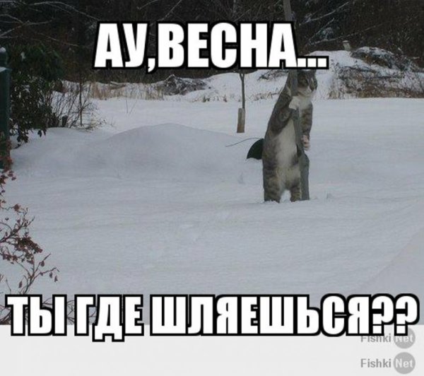 Приколы про зиму и весну