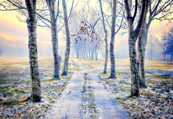 Весна проталины